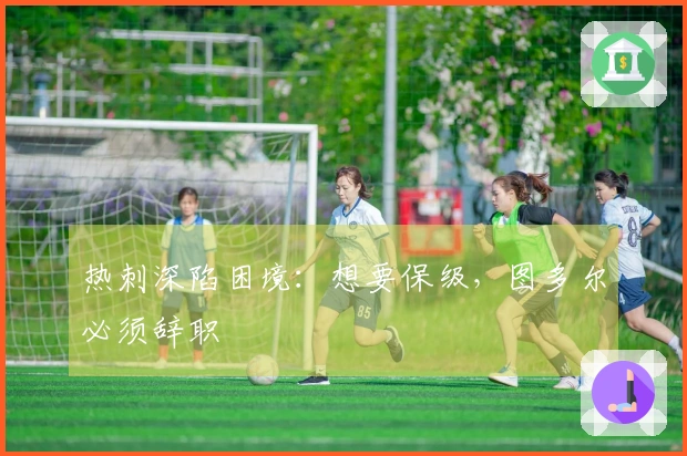 热刺深陷困境：想要保级，图多尔必须辞职